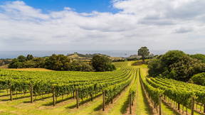 Thumbnail for Man O' War Adventure