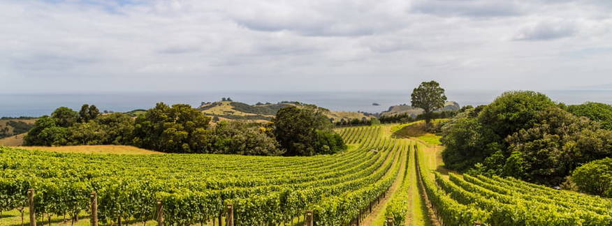 Cover for Man O' War Adventure