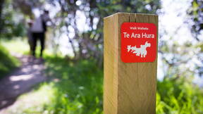 Thumbnail for Te Ara Hura